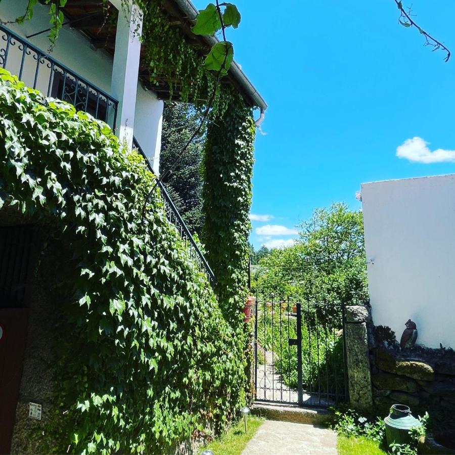 Casa Do Beco B&B Douro - Guest House Parambos Exterior photo